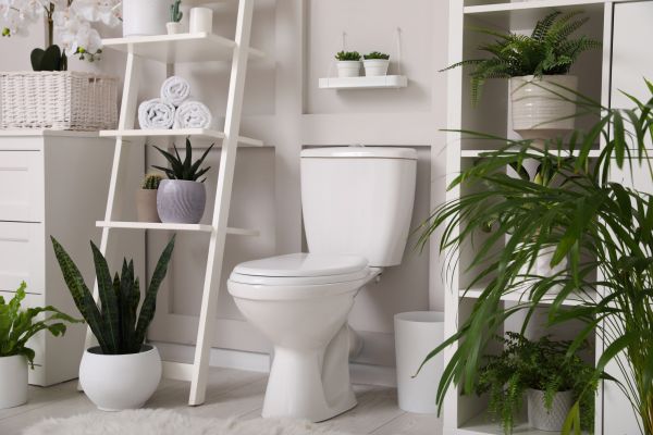Toilet Repair in Yorktown